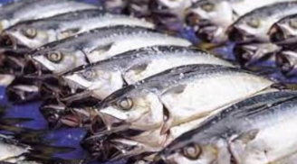 Đây là 4 loại cá 'bẩn nhất chợ', người mua nên cân nhắc kỹ trước khi mang về nhà ăn