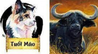 Thần Đồng tiên tri dự đoán, 3 con giáp hốt hết lộc trời, quý nhân soi đường dẫn lối, giàu sang hơn người