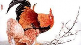 Thời vàng son đã đến: Từ nay tới Tết 2024, 3 con giáp hứng trọn lộc thiên hạ, tiền của dư đả