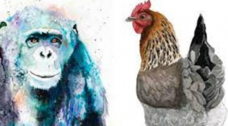 Từ nay tới Tết 2024: 4 tuổi 'đạp trúng hố vàng' cực kì giàu có, dễ dàng sắm được nhà lầu xe hơi