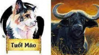 Tuần mới (10-16/4/2023) của 12 con giáp: Sửu cát tinh vây quanh, Mão cẩn trọng xui xẻo