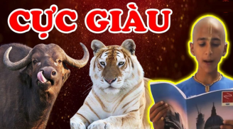 Trả giá nhiều thu hoạch lớn: 3 tuổi phát về hậu vận, qua tuổi 30 'rung đùi' hưởng phúc lớn