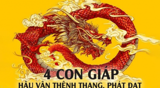 Tài lộc như mưa, 4 tuổi này tháng 4 gặp vận, tháng 5 'nổ lộc', tháng 6 nhà xe có đủ