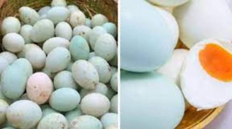 Mua trứng vịt nên chọn “vỏ trắng” hay “vỏ xanh”? Người bán tiết lộ cách chỉ người trong nghề mới biết