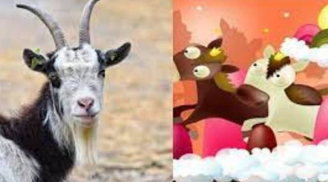 4 tuổi đỏ nhất 6 tháng cuối năm: Có 2 tuổi dễ dàng tậu xe, mua nhà, đón tin vui