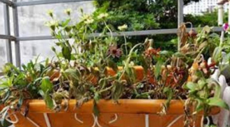 Thầy phong thủy dặn: 'Gia cảnh dù nghèo khó đến mấy cũng đừng giữ 4 thứ này trong nhà', 4 thứ đó là gì?