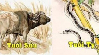 Tuần mới (24-30/4/2023): 4 con giáp Ngọc Hoàng ghi danh, vàng bạc ngập nhà, vượng đường thăng tiến