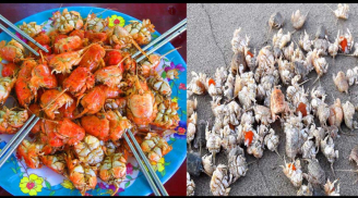 Đặc sản xưa không ai ăn nay nổi tiếng khắp vùng, giá 250.000 đồng/kg chỉ có ở Quảng Ngãi