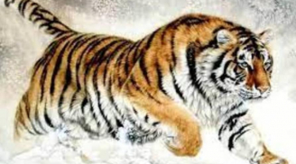 Qua đêm nay: 3 tuổi tài vận lên hương, được đại cát tinh đỡ đầu tiền vào như nước