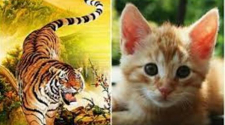 Chúc mừng 3 con giáp cơ may dồn dập, tài lộc “ập đến”, dễ thăng chức, tăng lương trong 90 ngày tới