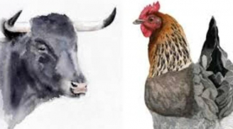 Đúng hôm nay 5/5: 3 tuổi cá chép hóa rồng, 10 ngày tới tài lộc đạt đỉnh, tình cảm thăng hoa