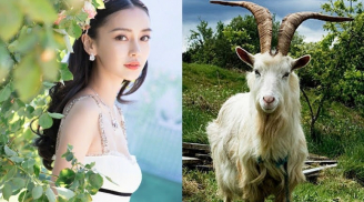 Chạy Trời không khỏi nắng: 3 tuổi dính hoạ thị phi, sự nghiệp lao đao, tiền tài thất thoát trong mùa hè 2023