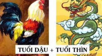 3 con giáp cá chép hóa rồng, gánh vàng về nhà đổi đời thành tỷ phú, giàu có hết phần thiên hạ
