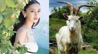 Đúng hôm nay 8/5: 4 tuổi 'cá chép hóa rồng', vận trình thăng tiến, tiền tiêu rủng rỉnh