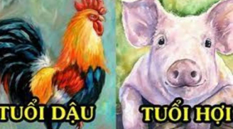 Trời cao ban phước, chúc mừng 3 con giáp số hưởng cả đời ăn sung mặc sướng, tiền tài vượng trong 19 ngày tới