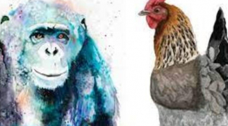 Chúc mừng nhà nào có 3 con giáp này, 14 ngày tới may mắn nhân đôi, tài lộc tăng tiến