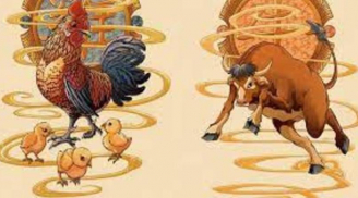 3 con giáp cải mệnh đổi đời, quý nhân đỡ đầu, Thần tài theo gót, tiền tỷ rơi vào túi