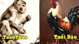 Đúng hôm nay 15/5, sao may mắn chiếu rọi  3 con giáp ngã trúng hũ vàng, giàu có vang danh