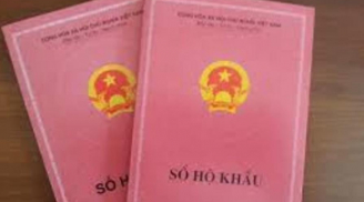 Cách tra cứu Sổ hộ khẩu điện tử đơn giản, nhanh chóng nhất