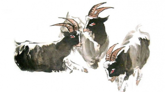 Đúng 20 ngày tới, 4 tuổi cá Chép hoá Rồng, lộc về dồn dập, hưởng trọn giàu sang phú quý