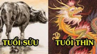 3 con giáp tay trái hái lộc tay phải thu tiền, vận số đỏ chót, cuộc sống ngậm thìa vàng trong 7 ngày tới