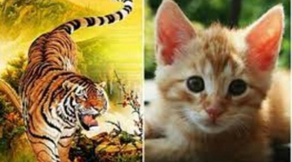 Ơn Trên ban phước, 3 con giáp hứng trọn lộc trời, tiền bạc rủng rỉnh, may mắn tràn trề trong 5 ngày tới