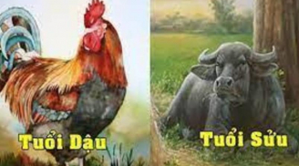 Sao May Mắn chiếu mệnh: 3 tuổi đón ánh nắng tiền tài, vàng bạc trĩu cành, giàu có hết phần thiên hạ