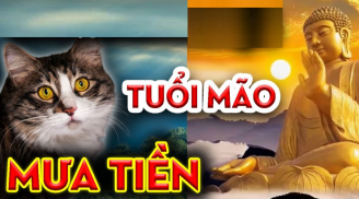 Hưởng lộc nhà Phật: 3 tuổi này nhận 'cơn mưa' lộc lá, chẳng lo thiếu tiền