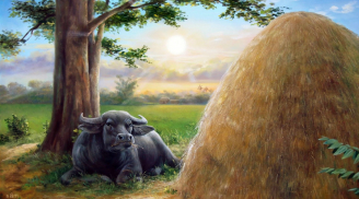 Tuần mới (5-11/6): 2 tuổi gặt hái thành công, 1 tuổi xui xẻo từ sự nghiệp đến tình duyên