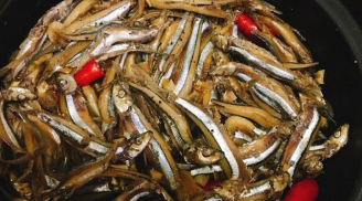 Loại cá xưa ít người biết, nay là đặc sản được ưa chuộng vì ngon và bổ, giá tới 170.000 đồng/kg