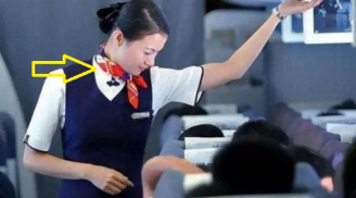 Vì sao nữ tiếp viên hàng không thường quàng 1 chiếc khăn lụa: Lý do quan trọng không phải chỉ để cho đẹp