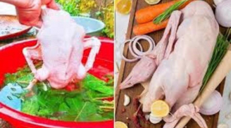 Vò nắm lá sau thả vào chậu nước: Nhổ lông vịt siêu nhanh, không dính một cọng lông măng