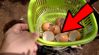 Đổ vỏ trứng vào chảo rồi rang đều, có ngay kho báu quý cho cả nhà