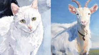 Số đỏ như son: 4 tuổi hết Tam Tai chẳng cần bon chen tiền bạc cũng về tay trong 2 năm tới