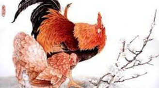 3 con giáp tay trái hái lộc tay phải thu tiền, vạn sự hanh thông, vận số đỏ chót trong 15 ngày tới