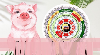 Số đỏ như son: 4 tuổi buôn gì cũng lãi, chẳng cần bon chen tiền bạc cũng về tay