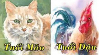 Thời hoàng kim đã đến: 3 con giáp đổi vận, đón cơn mưa tiền tài, không cần lo lắng về tài chính