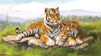 3 con giáp nam không giỏi ăn nói nhưng chiều vợ ít ai sánh bằng