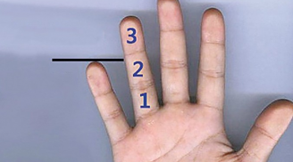 Giơ bàn tay phải xem độ dài ngón út: Biết ngay cuộc đời của bạn, chính xác hơn nhìn mặt