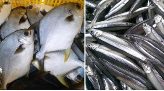 Người bán cá tiết lộ: Đi chợ thấy 7 loại cá này nên mua ngay, cá tự nhiên, không chứa thủy ngân, bổ dưỡng