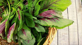 3 loại rau mọc dại ở Việt Nam nhưng được ví là rau ‘trường thọ’, tốt hơn cả nhân sâm