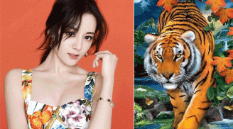 Từ hôm nay, 4 tuổi lên đời Phượng Hoàng, sự nghiệp – tiền tài leo nóc, chỉ ngồi không cũng của nả đầy nhà