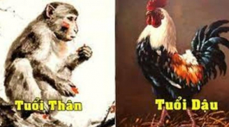 3 con giáp hết sạch Tam tai tránh luôn Thái tuế, từ nay làm đâu thắng đó, công danh khởi sắc rực rỡ