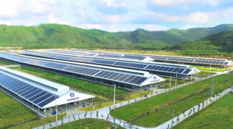 Phân tích dòng tiền từ hoạt động kinh doanh của Vinamilk
