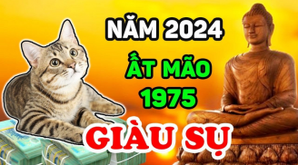 Sang năm Giáp Thìn: 4 tuổi tựa cỗ máy in tiền, tay trái thu vàng, tay phải hút bạc