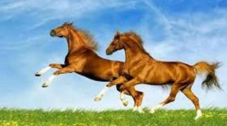 Đúng 9h sáng hôm nay 24/7, 3 tuổi vượng vận quý nhân, Thần Tài ban lộc ‘khủng’, dư dả tiền bạc