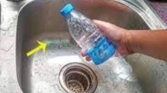 Lấy chai nhựa cắt đôi đặt vào bồn rửa bát: Lợi ích tuyệt vời, biết được ai cũng muốn làm theo