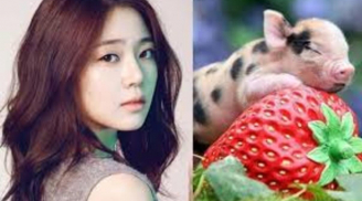 Đúng hôm nay 26/7, 3 con giáp chuyển mình mạnh mẽ, đếm tiền mỏi tay, càng về sau càng giàu có