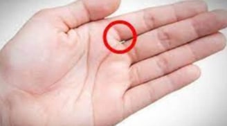 Khép các ngón tay lại xem có bao nhiêu khe hở: Biết ngay tính cách và độ giàu có của bạn