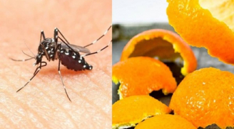 5 nguyên liệu nhà nào cũng có không ngờ giúp đuổi muỗi cực hiệu quả